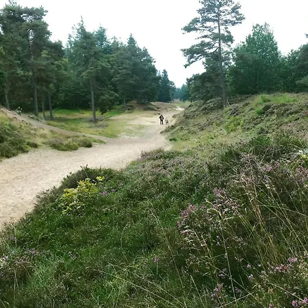 شقة Antikhuus Lutjenholm